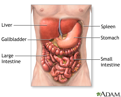 gallbladder disease. the gallbladder,