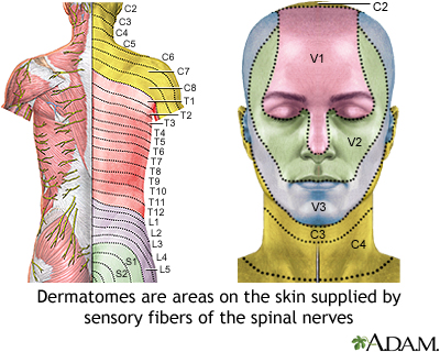 notrigeminal neuralgia A sep treatment options for trigeminal nerve 
