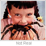 girl eating fake spider