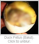 duck fetus - balut