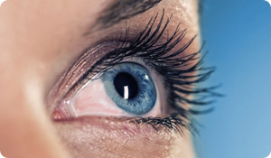Scratch the Itch of Allergic Conjunctivitis