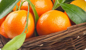 Could Tangerines Prevent Obesity?