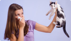 Your Partner or Your Pet? Loving Someone With Allergies 