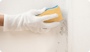 8 Ways to Clean Up Your Mold-Related Asthma
