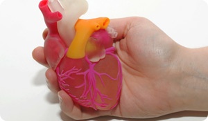Heart Condition Encyclopedia 