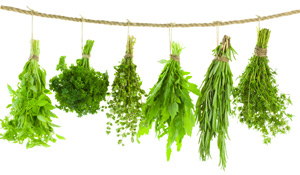 Spring Herb Guide: 11 Seasonings To Brighten Your Meals