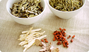Herbal Remedies for Asthma Relief