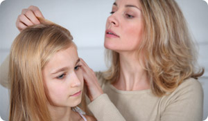 How to Get Rid of Lice: The Bug Stops Here