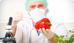 What You Should Know About Genetically Modified Foods