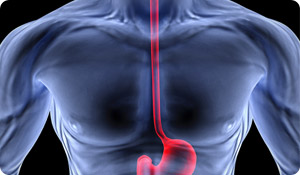 Muscle Tone in the Esophagus May Play a Role in GERD