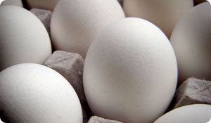 Enriched Eggs: Are They Worth it?