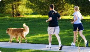 8 Tips for Exercising With Your Pet