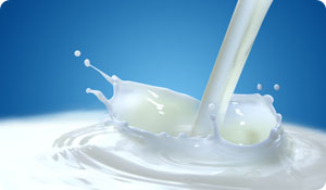 Does Dairy Fat Reduce Type 2 Risk? 