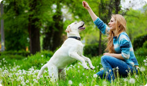 Can Your Pet Have Allergies?