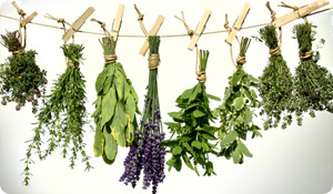 How to Use 10 Powerful Herbs